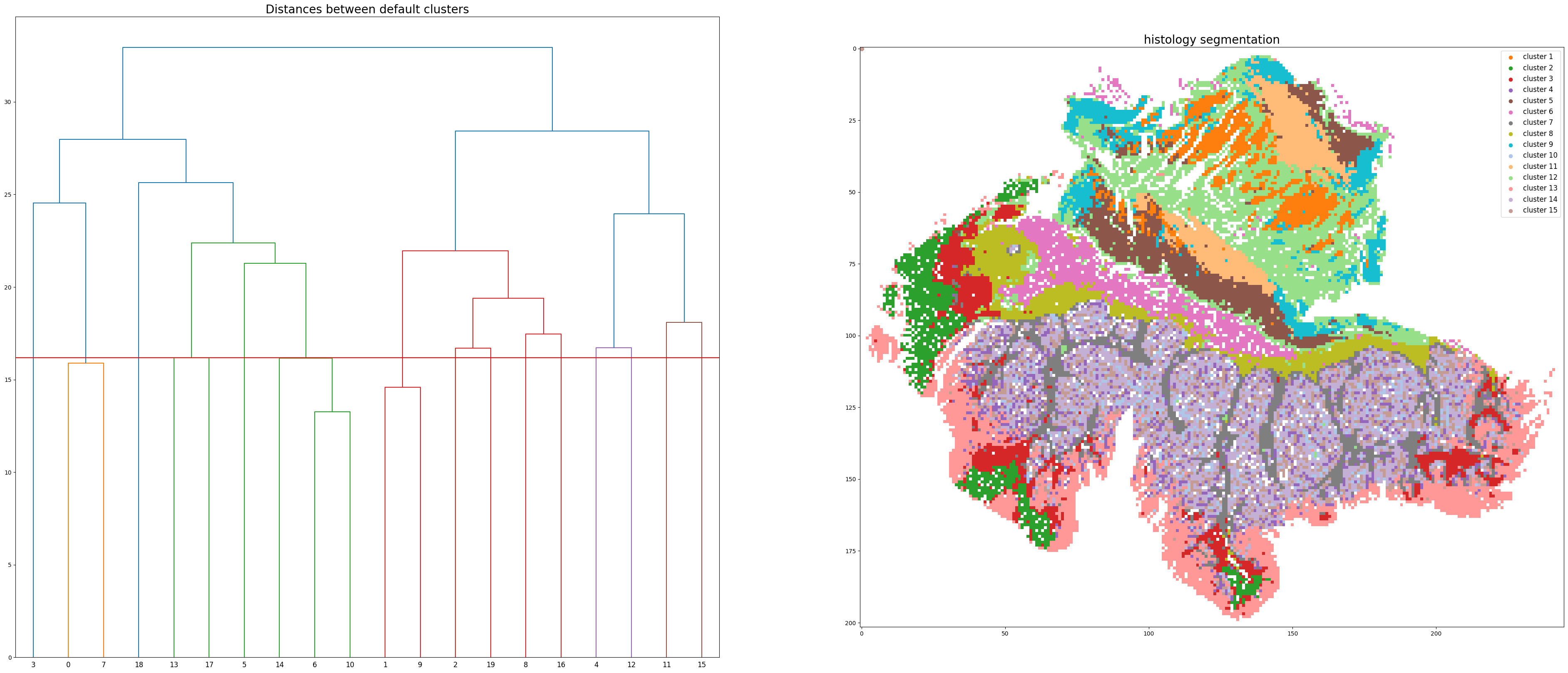 ../_images/notebooks_Tutorial_1_VisiumHD_ROI_selection_colon_10_2.png